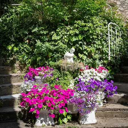 Guest house La Roseraie Lodeve